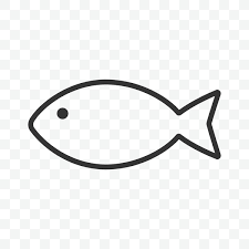 Hake Steak
