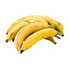 Yellow Plantain