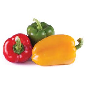 Bell Peppers (Capsicum)