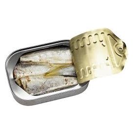 Sardines