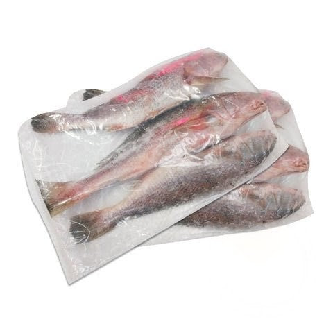 Frozen Croaker fish 400-800 5kg
