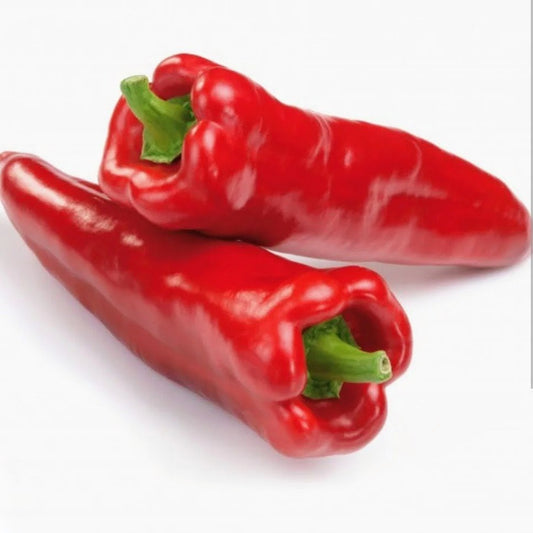 Long pepper (tatashe) x3